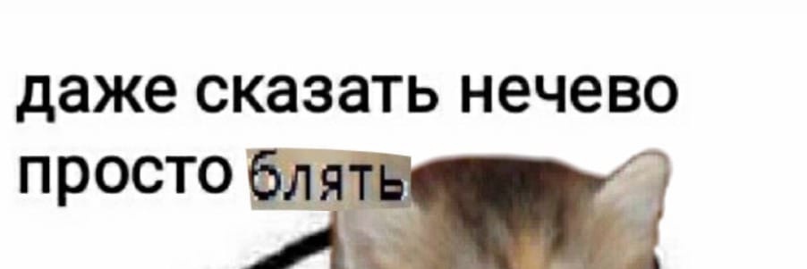 гандончик banner