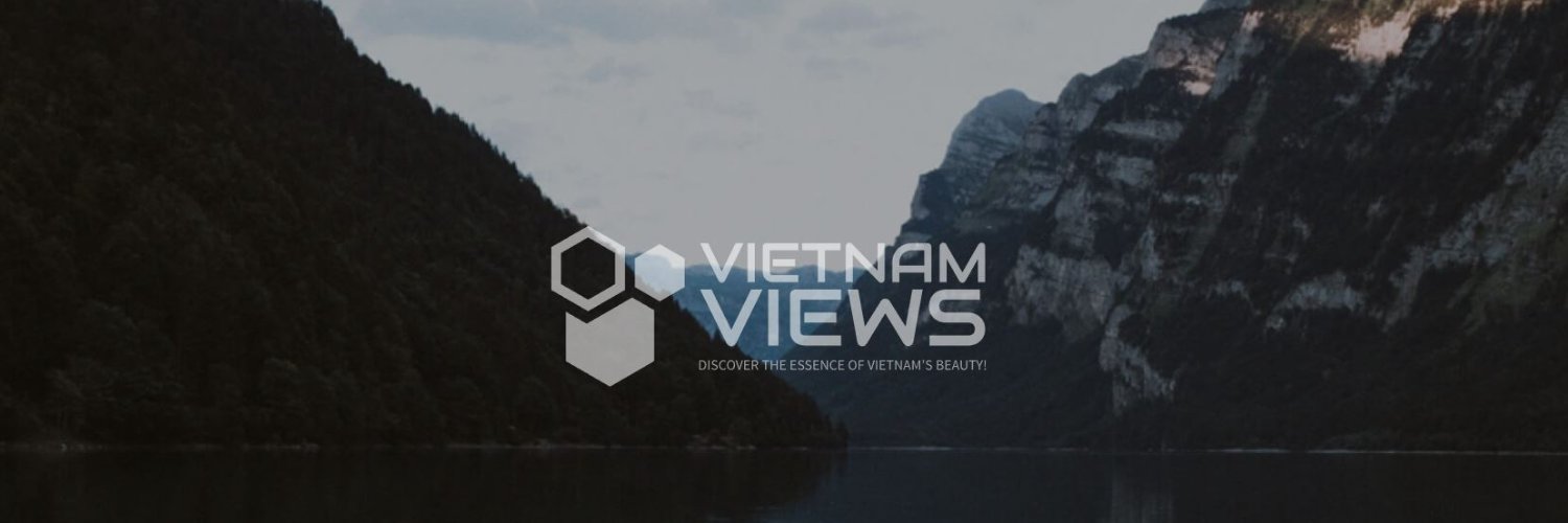 ViewsVietnam's profile banner image