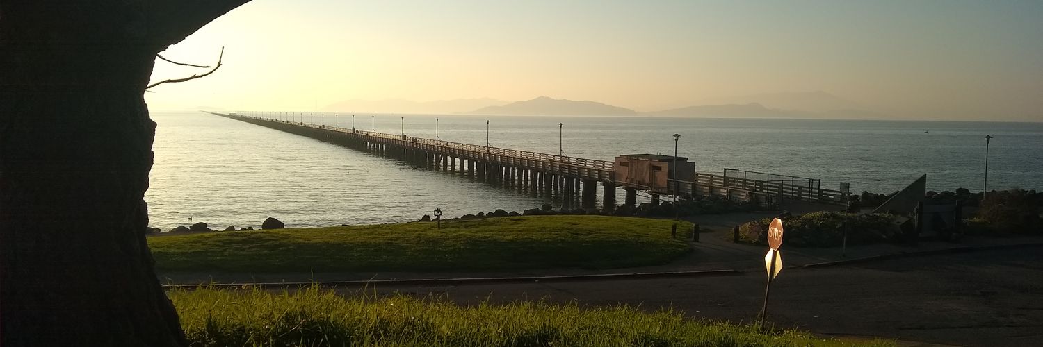 timaumiller's profile banner image