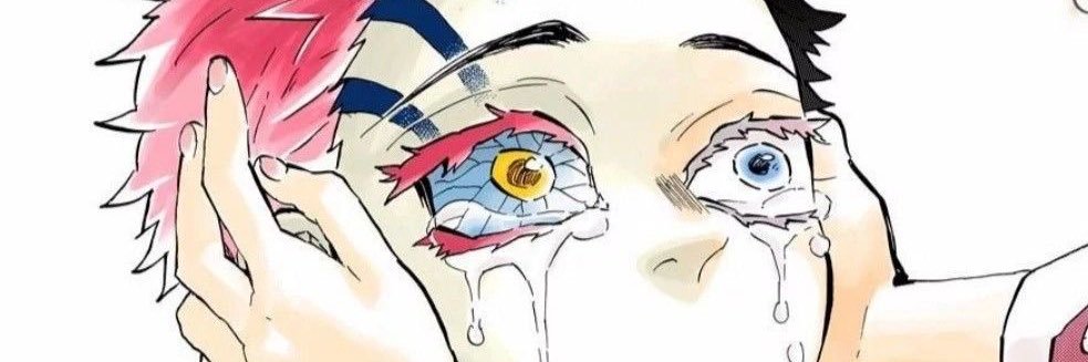 WeirdRudyFan's profile banner image
