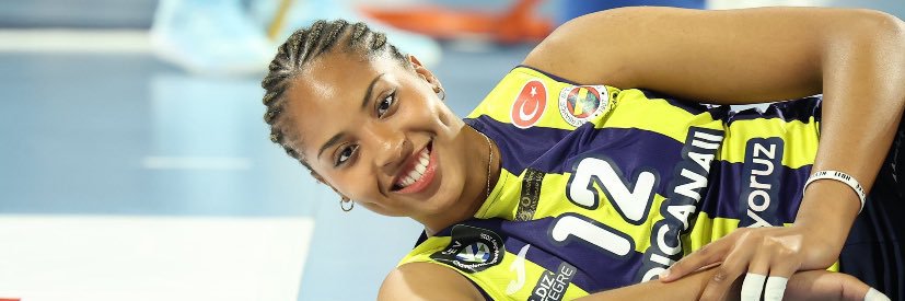 Chris 🏐🐝 banner