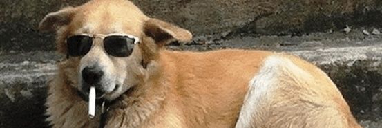 gvbrvell's profile banner image
