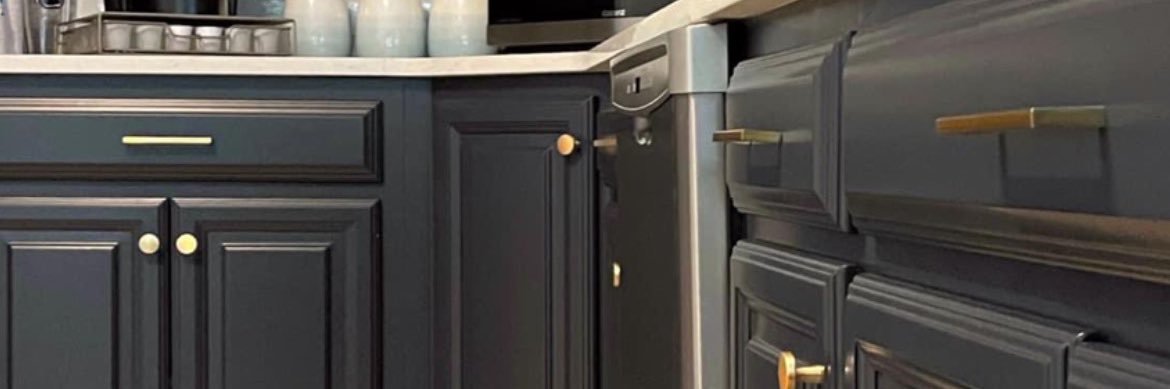 Corrie Leister banner