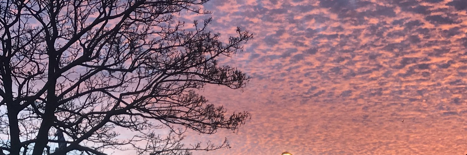 Séphou 🌸 banner