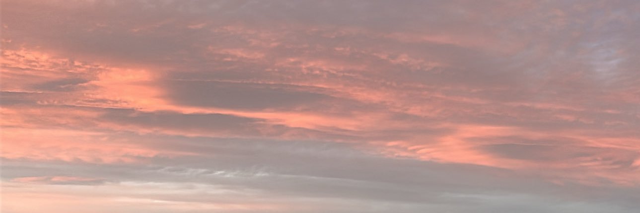 Andrea Herrera banner