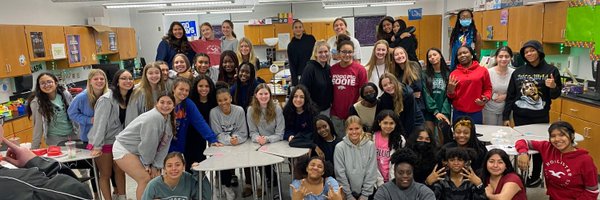 _LadyStallions_ Profile Banner