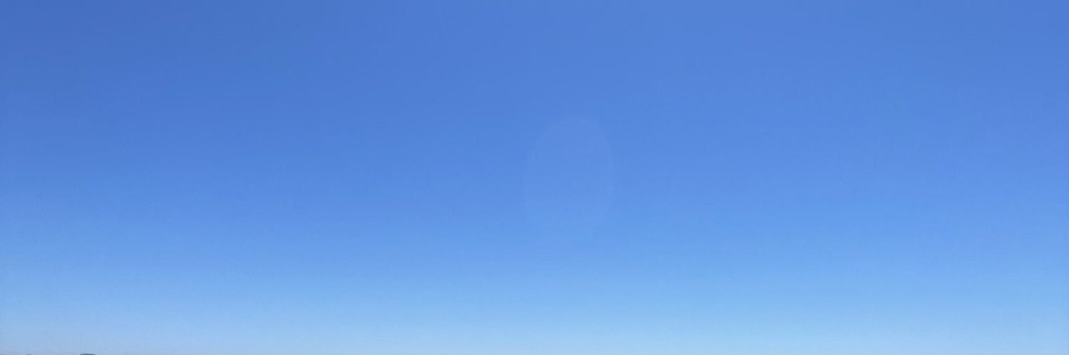 Barnes The Aussie Collie banner