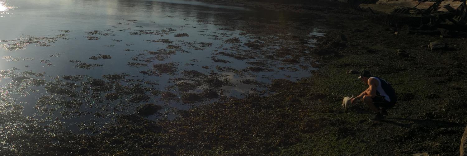 ben_singerr's profile banner image