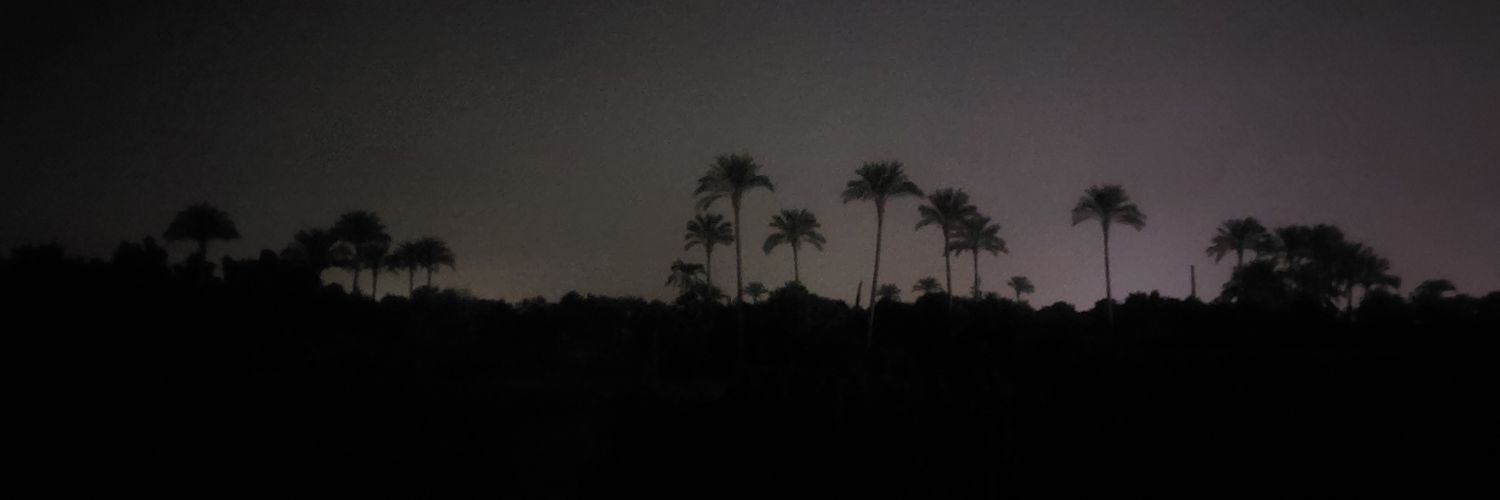FlockxForster's profile banner image