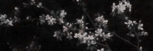 maiiple_'s profile banner image