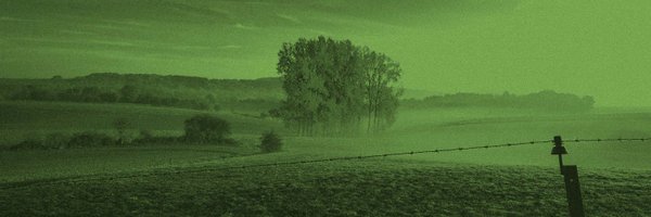 dryadedryade Profile Banner