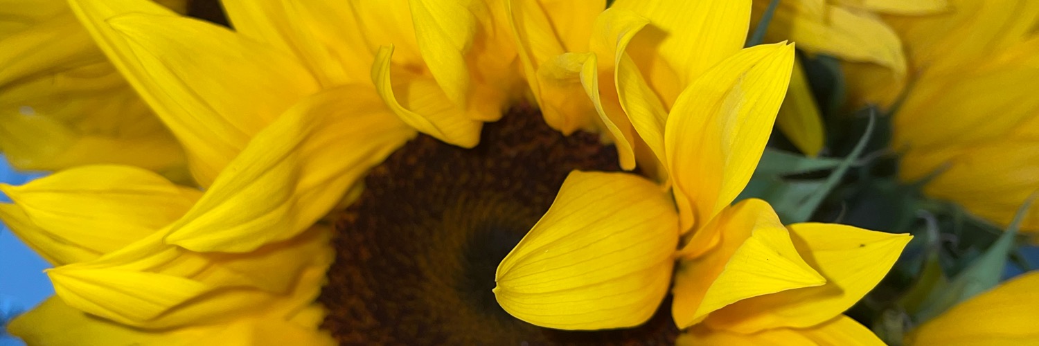 rxinchanel's profile banner image