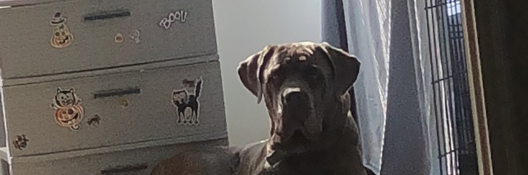 jessegee2's profile banner image