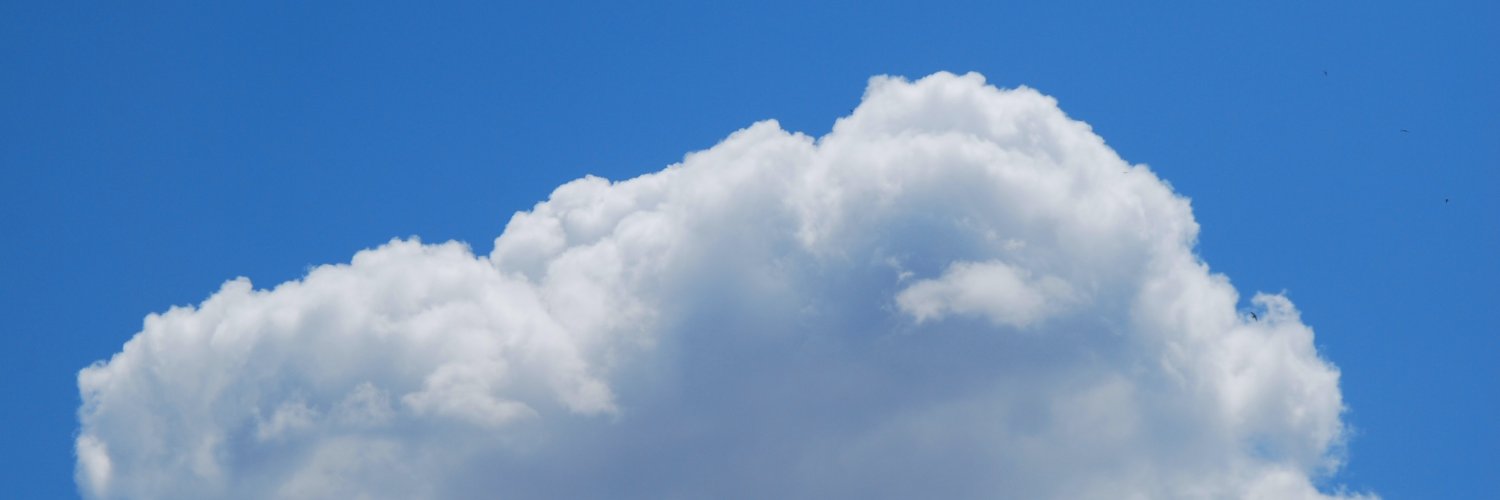sandrapires's profile banner image