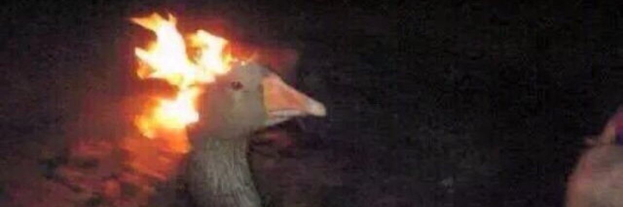 Brother Ork (6'20, 45+201i iq) ☦️ banner