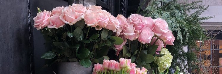 sophyyea's profile banner image