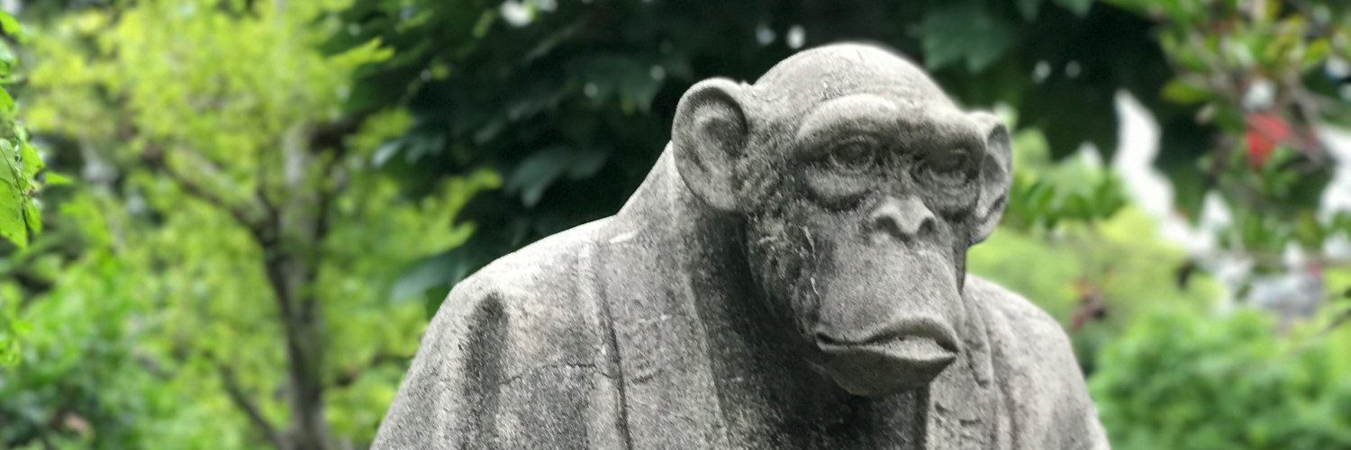 apesnotmonkeys's profile banner image