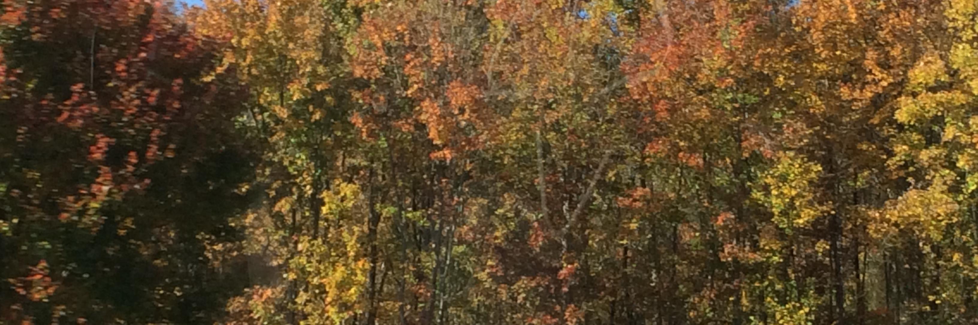 Jim_Tyo's profile banner image