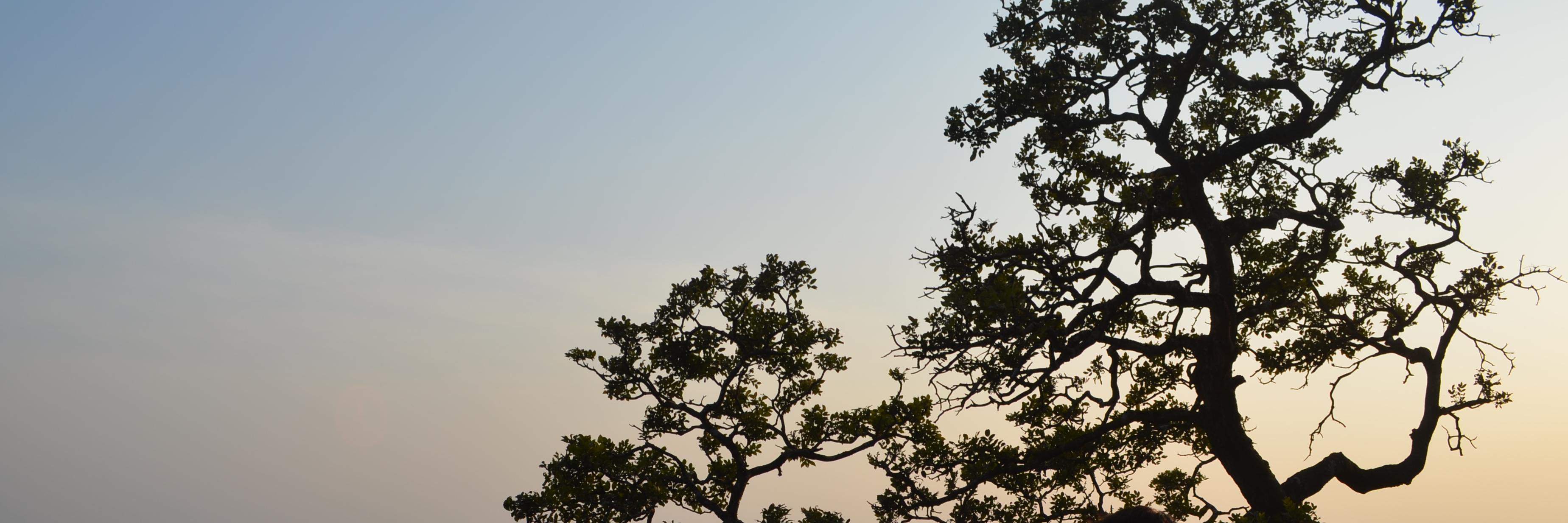 daisyddon's profile banner image