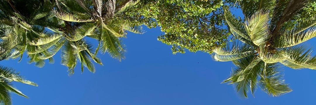 Manuel Reinhard banner