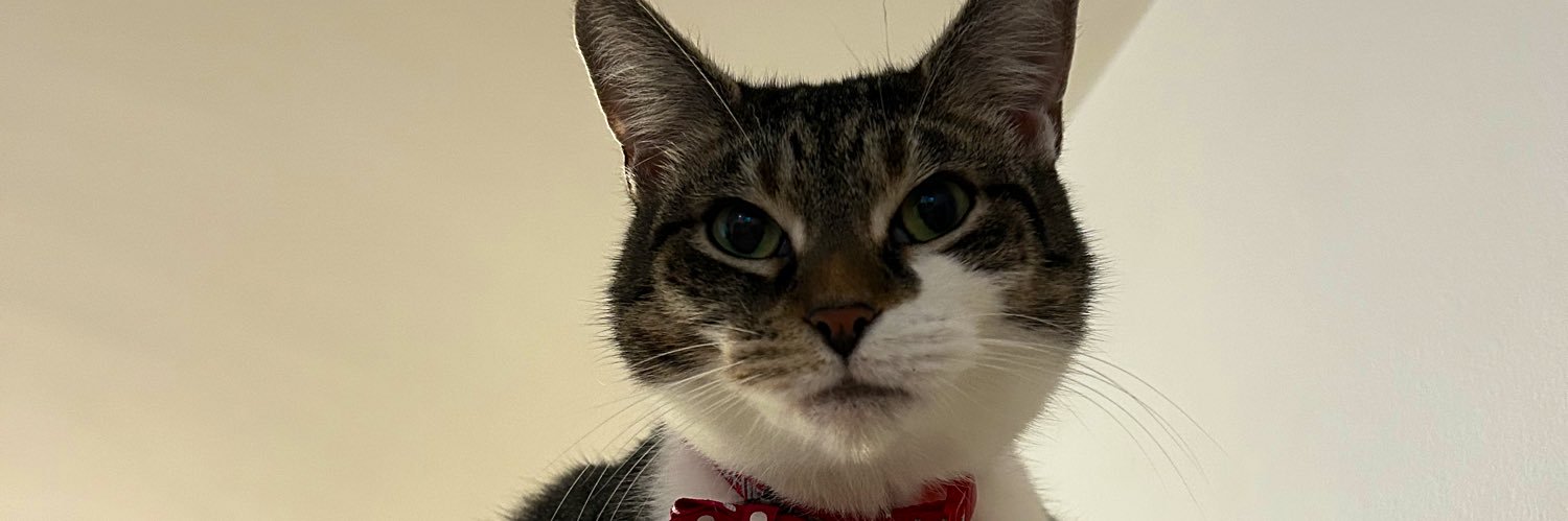 laurajb_3's profile banner image
