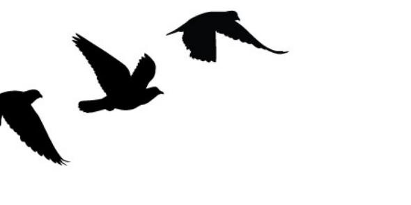 micafxck's profile banner image