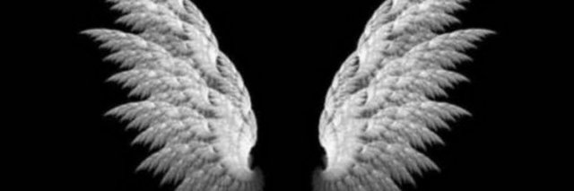 wiwgq's profile banner image