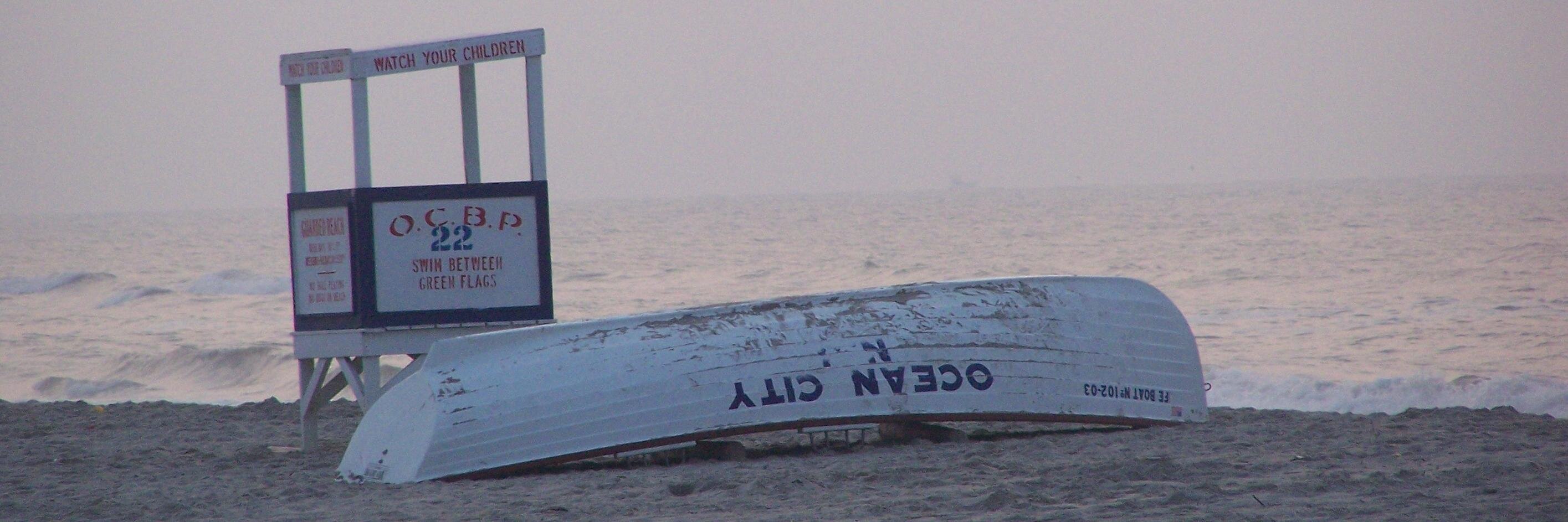 Patricia Quigley banner