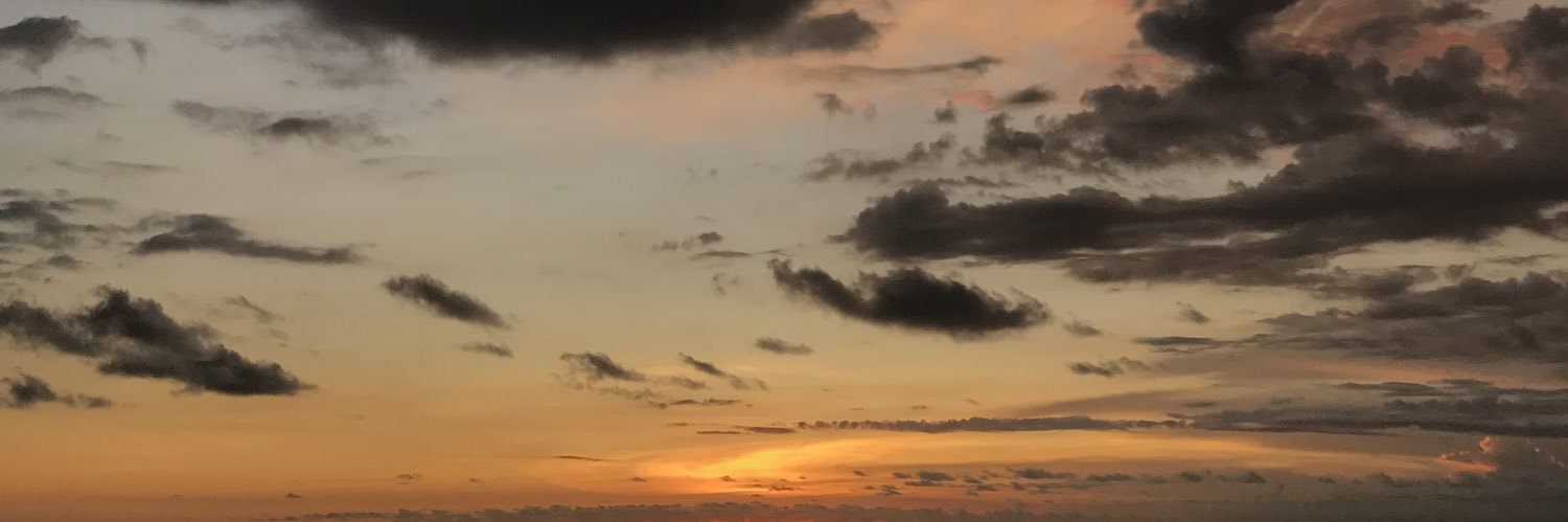 exowlaf's profile banner image