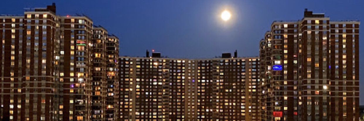 ♍️H20q4 banner
