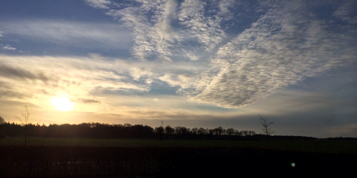 Gertjan Tijms banner