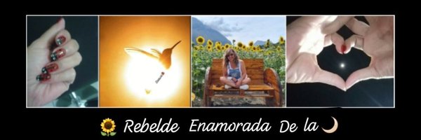 Monicatarina1 Profile Banner