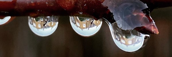 Khowbrook Profile Banner