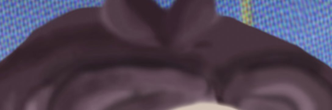 degen_0156's profile banner image
