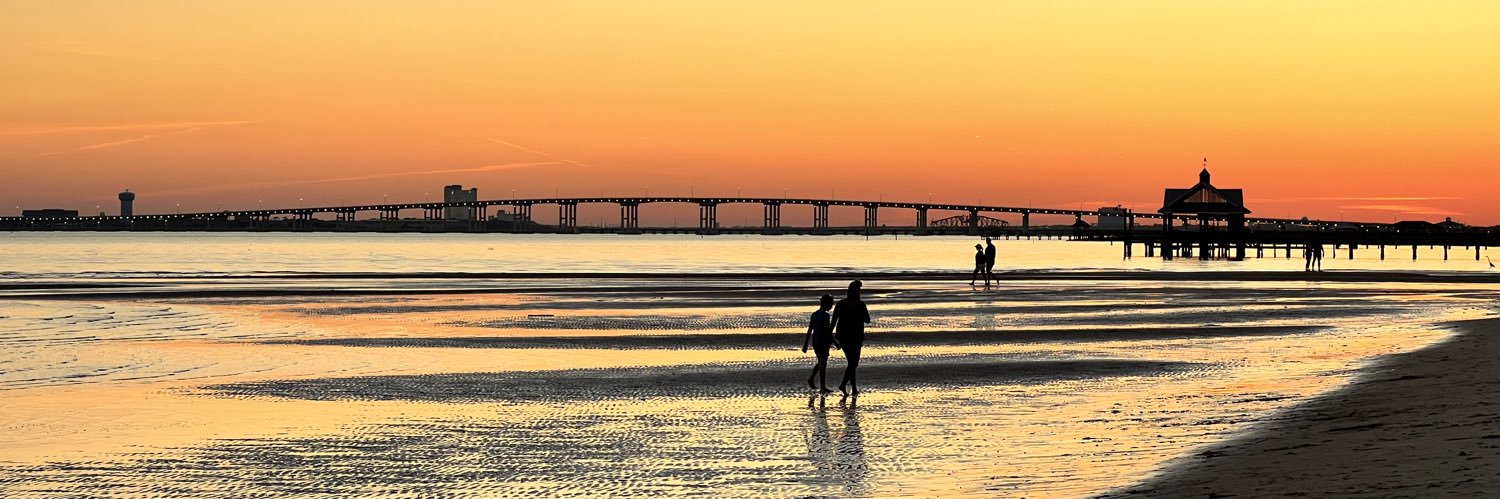 Ellie W. Banks banner