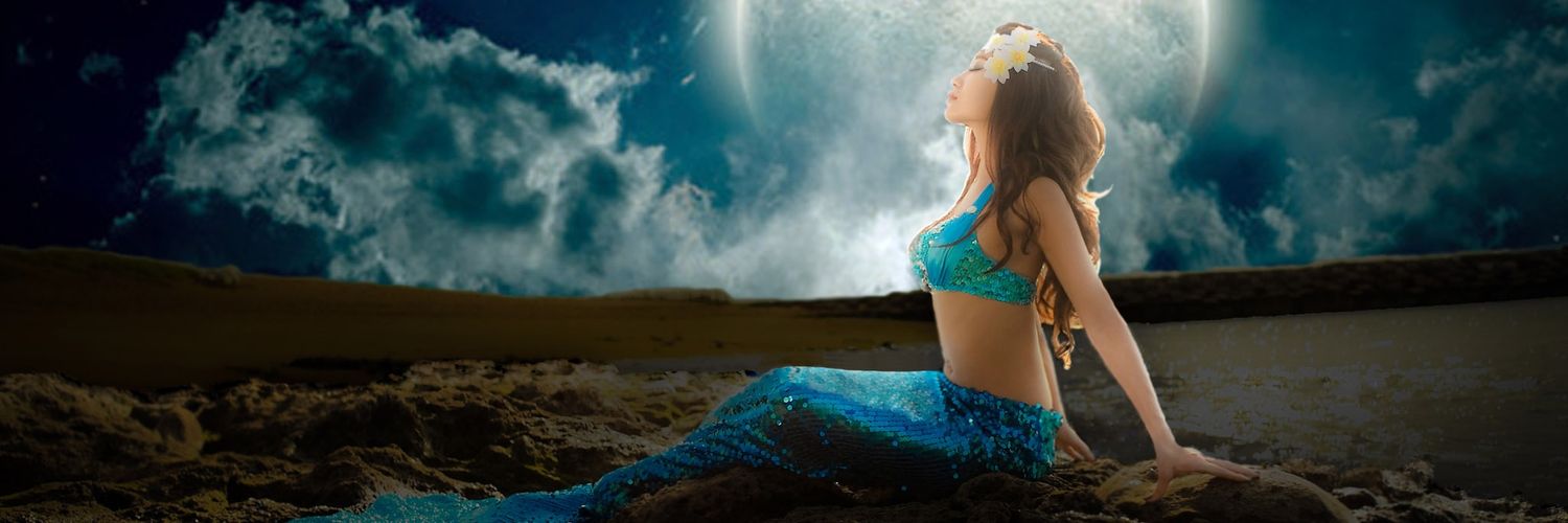 jansen923's profile banner image