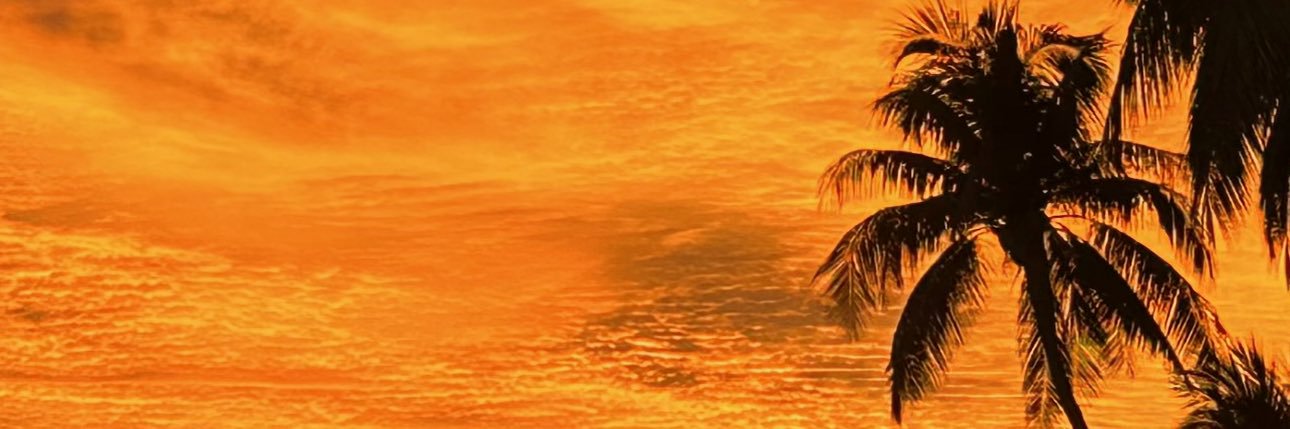 _sarrmari_'s profile banner image