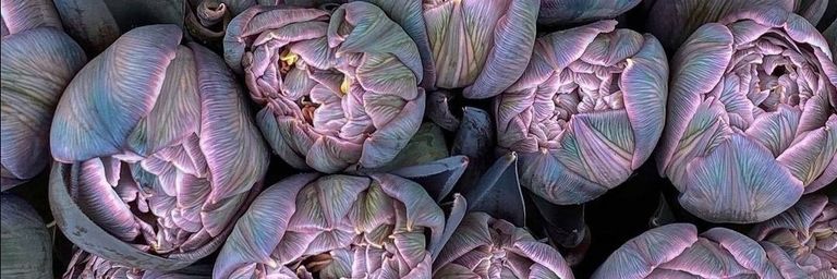 sweet_barries's profile banner image
