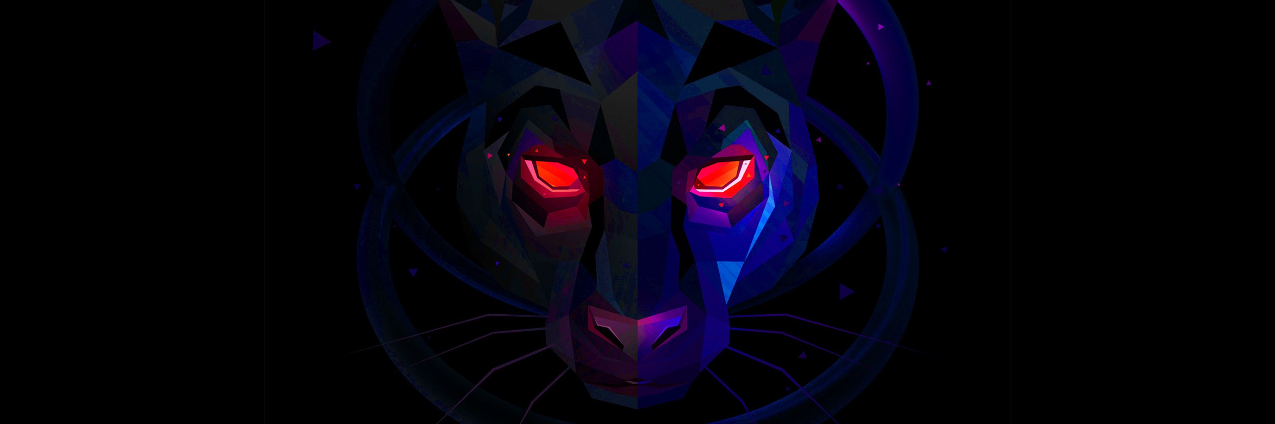 LSDDOM's profile banner image