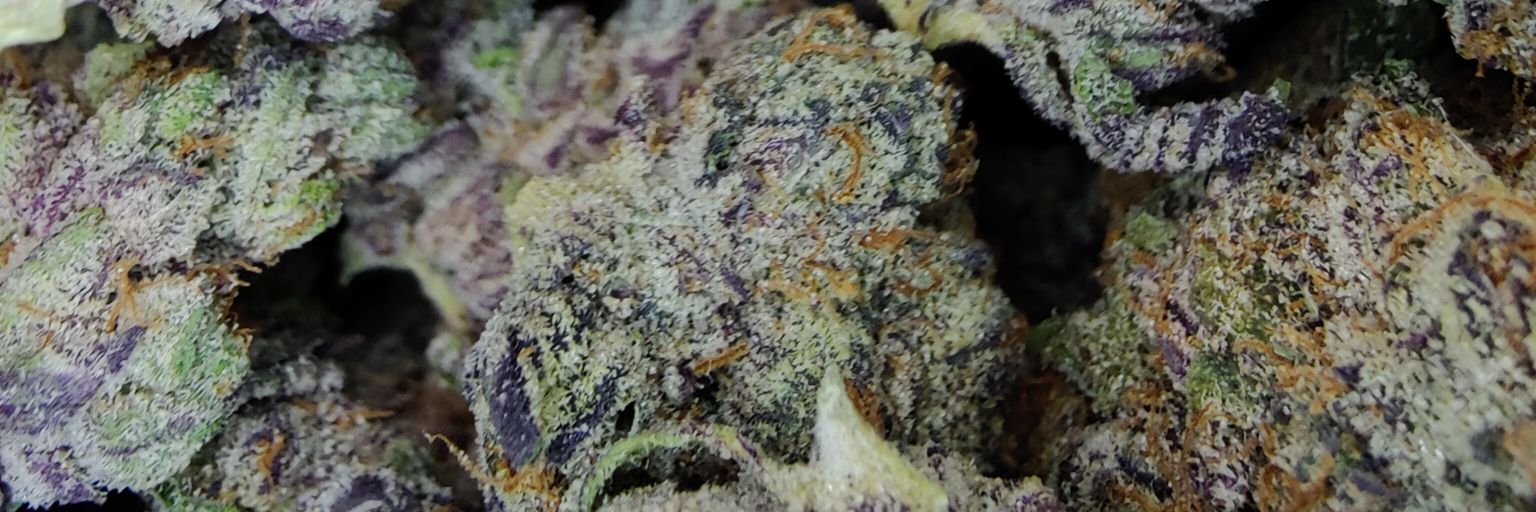 💨The_Stoney_Twann💨 banner