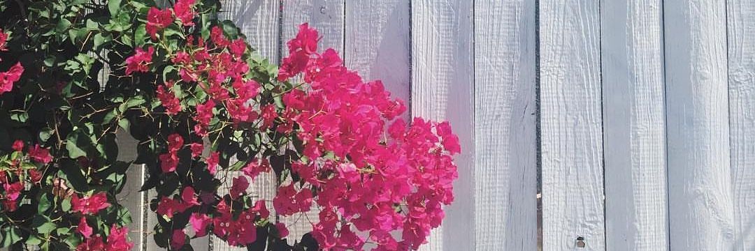 kalvinarnold's profile banner image