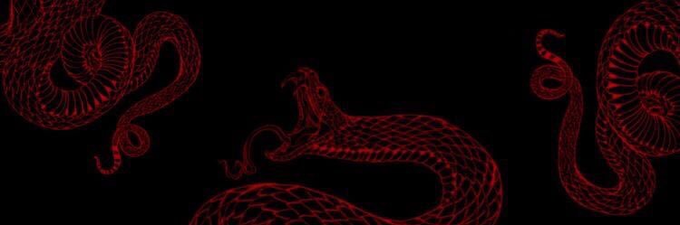 ♡︎ mymy salvatore ♡︎ banner