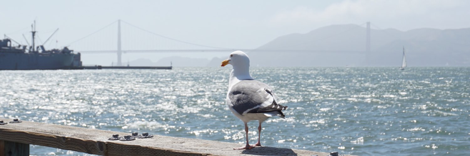 sonsondm's profile banner image