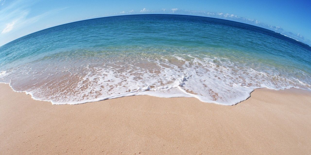 Adella F Tanoko banner