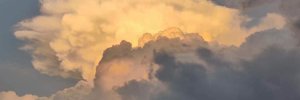 5an71ag0's profile banner image