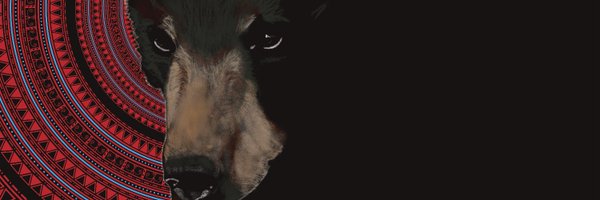benjancewicz Profile Banner