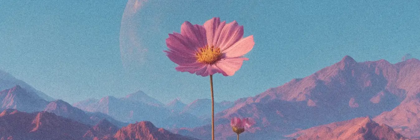 kaz9095's profile banner image