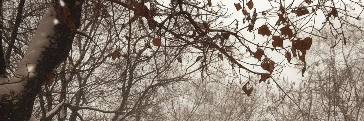 BAYRYN_'s profile banner image