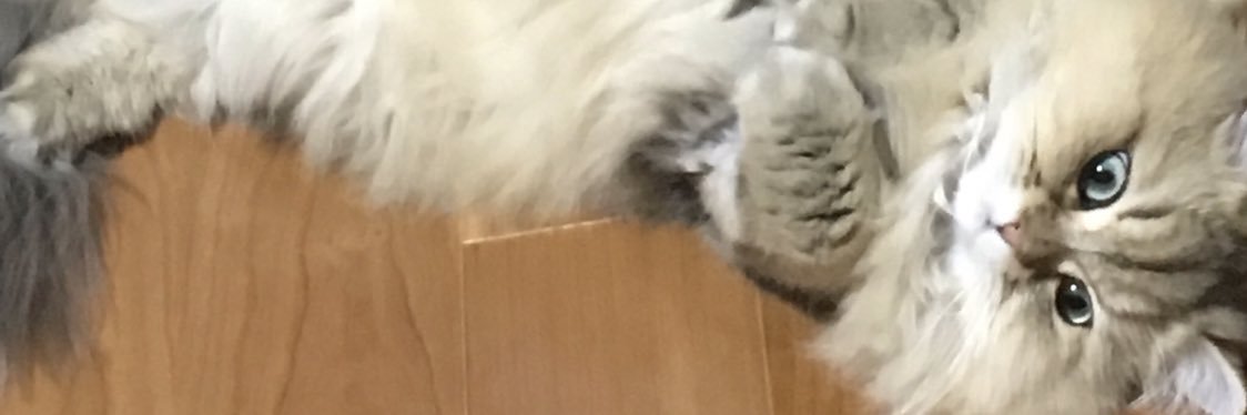 抹茶 banner