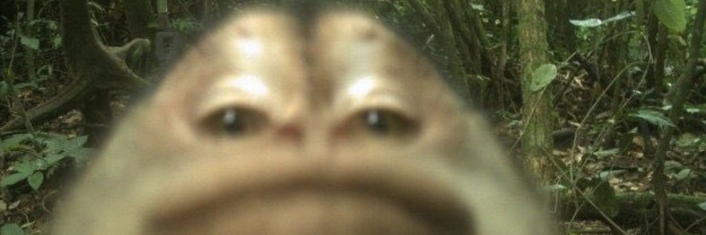 fabiintuiter's profile banner image